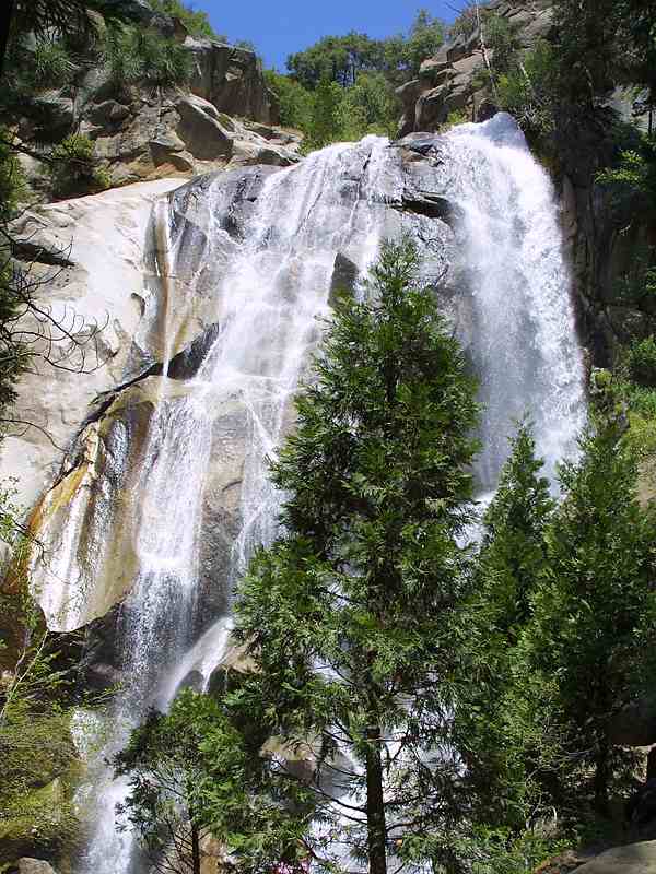 verticle waterfall images with trees